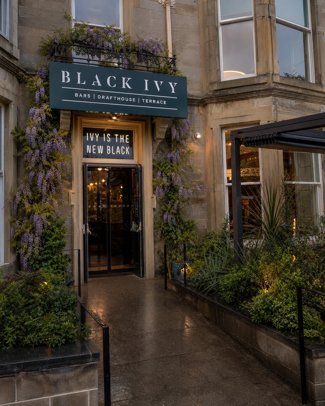 Black Ivy’s main entrance beneath its dark sign and wisteria, beside a sandstone bay window.